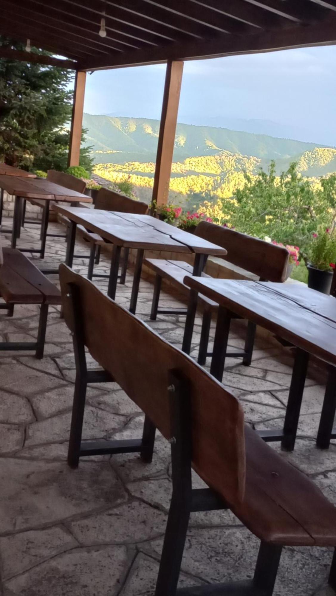 Selini 3* Vítsa
